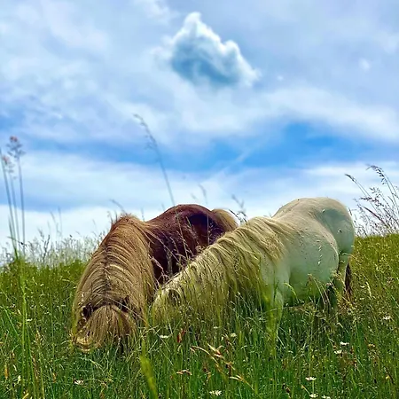 Appartement Gracarjeva Domacija