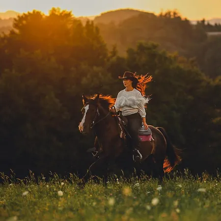 Gracarjeva Domacija Apartamento *