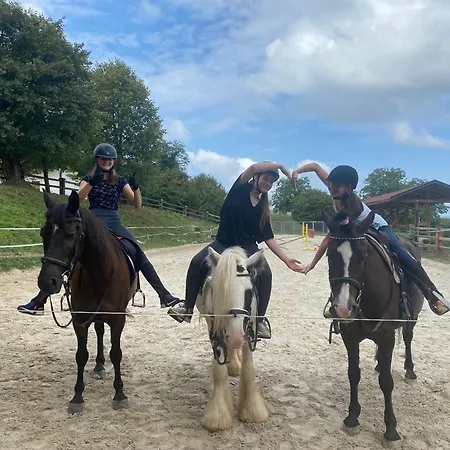 Apartamento Gracarjeva Domacija Misji Dol