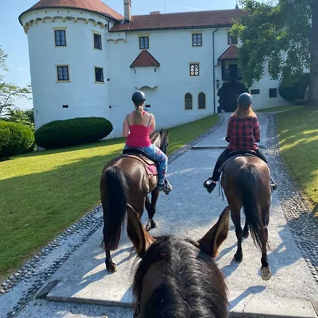 Gracarjeva Domacija *