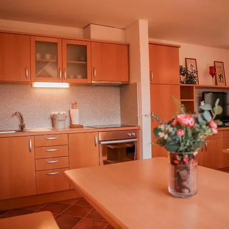 Appartement Gracarjeva Domacija Misji Dol