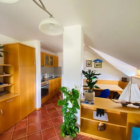 Gracarjeva Domacija Misji Dol