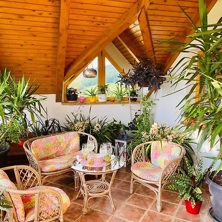 Gracarjeva Domacija * Misji Dol