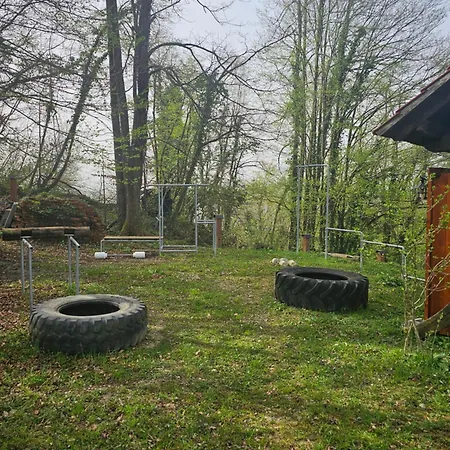 Appartement Gracarjeva Domacija *