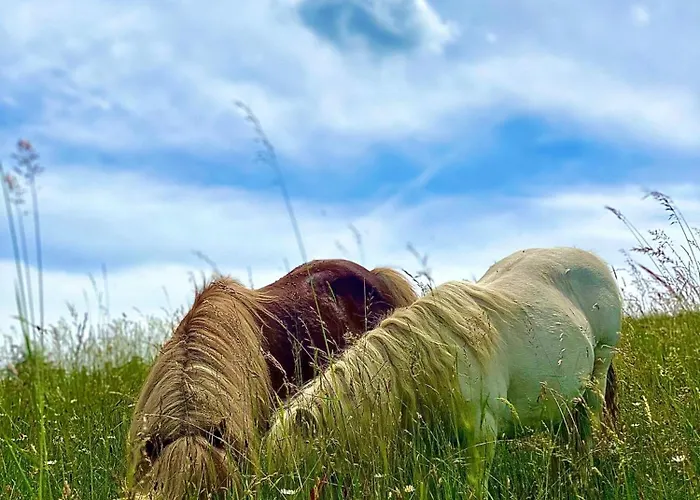 アパート Gracarjeva Domacija