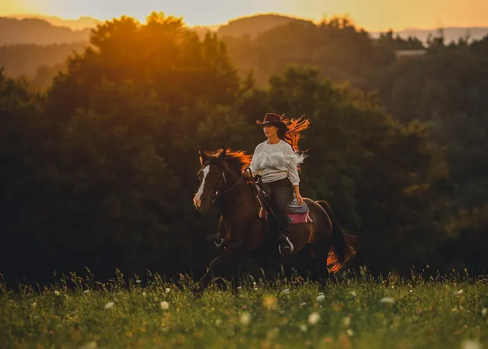 Gracarjeva Domacija アパート *