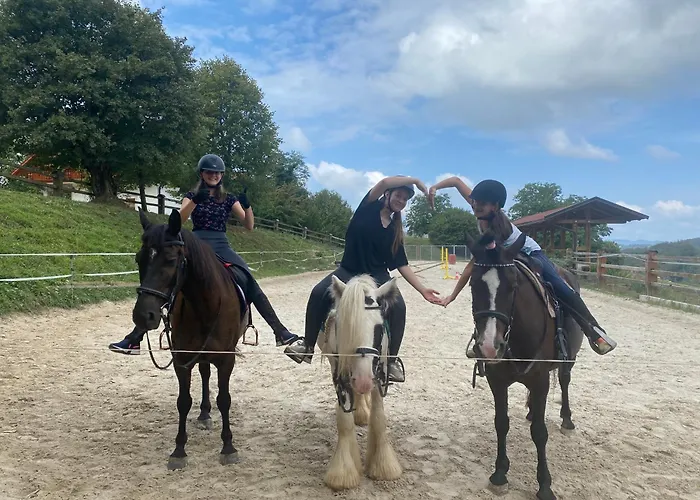 アパート Gracarjeva Domacija Misji Dol