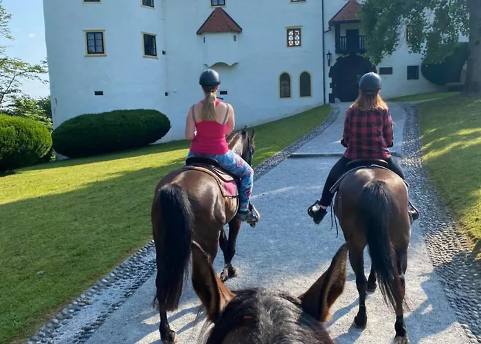 Gracarjeva Domacija *