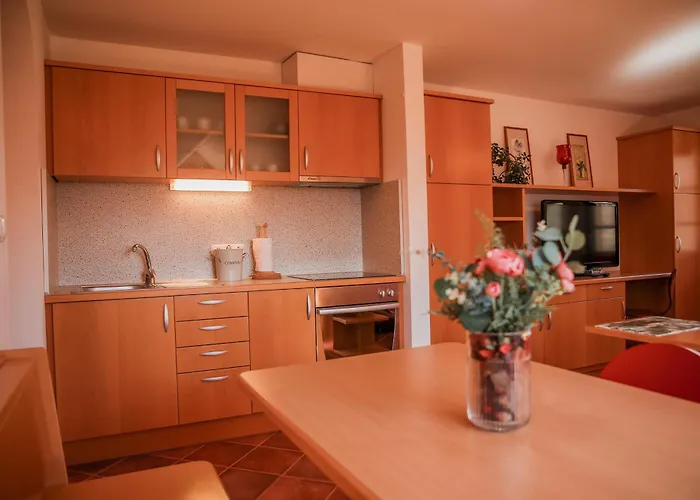 アパート Gracarjeva Domacija Misji Dol