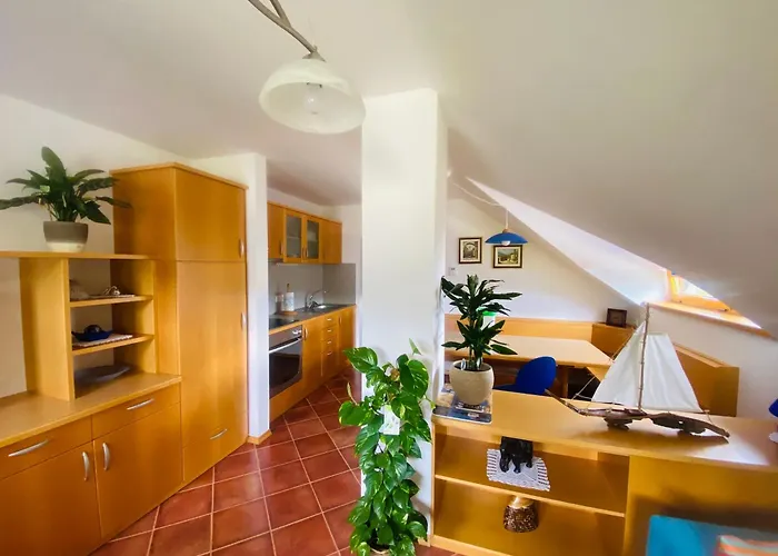 Gracarjeva Domacija Misji Dol