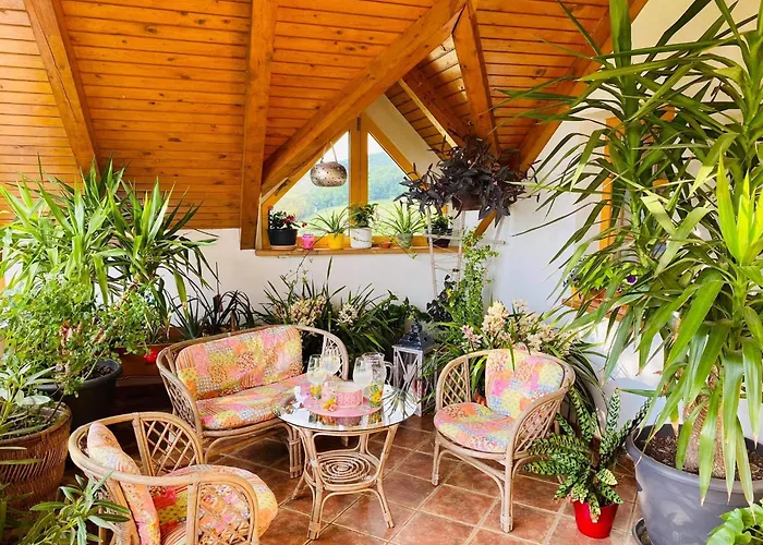 Gracarjeva Domacija * Misji Dol